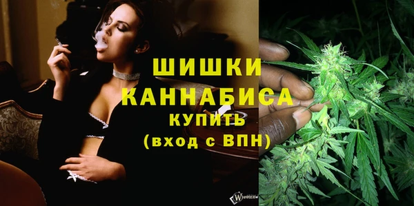МДМА Ельня