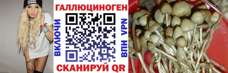 hydra tor  Кадников  Галлюциногенные грибы MAGIC MUSHROOMS 